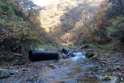 スキー場跡からか土管が転がっている