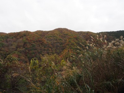 野見ヶ岳の錦繍.JPG