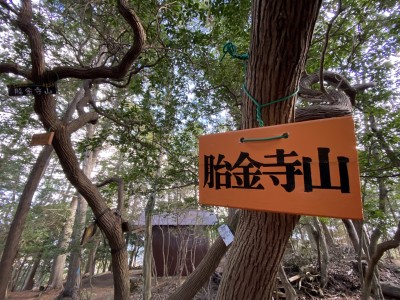 IMG_9421.JPG (3.02 MiB) 閲覧された回数 3647 回 胎金寺山山頂