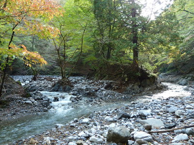蛇谷出合手前(右も左も本流です)