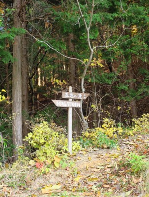 MAGATANIAとはなんぞや？