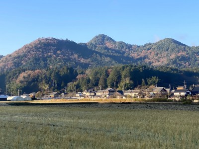 舗装道路から胎金寺山を望む