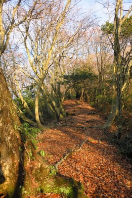 ずっとこれなら・・・