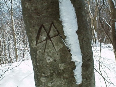 この鉈目も25年位経ている？