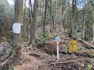 IMG_9712.JPG (8.97 MiB) 閲覧された回数 3224 回 雲母コース入口(東尾根への取付)