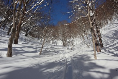 トレースはしっかりある.jpg (478.61 KiB) 閲覧された回数 3282 回 先行者のトレース