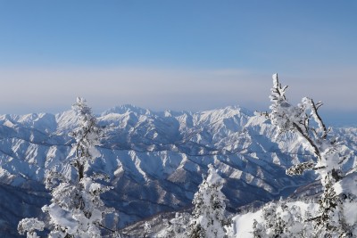 越後駒.jpg (328.08 KiB) 閲覧された回数 3285 回 越後駒