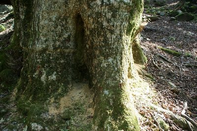 DSC04573.jpg (170.93 KiB) 閲覧された回数 16271 回 恐れていたことが現実に