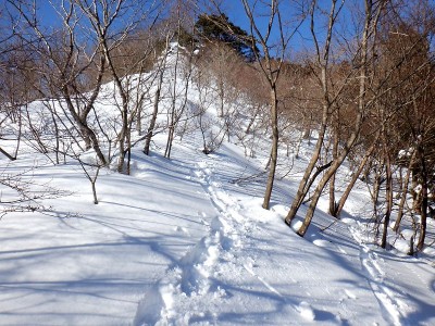 尾根芯を外して巻き下った