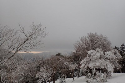 この下のあたり？