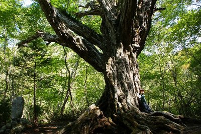 DSC04539.jpg (196.67 KiB) 閲覧された回数 15092 回 おっきいねえ