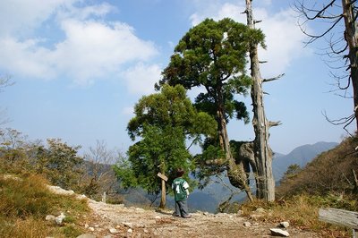 DSC04590.jpg (123.4 KiB) 閲覧された回数 16260 回 あっちは三重県