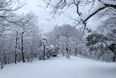 雪原の燧ヶ城址