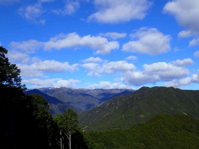 熊野古道から見る大台山系（左：大台ケ原　右：加茂助谷の頭