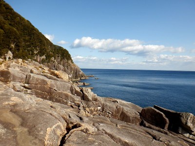 2/5は南国陽だまりオハイ