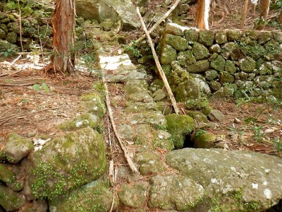 用水路の擁壁が石畳のあぜ道。