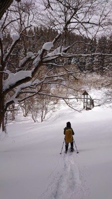 line_295522163846687 - コピー.jpg