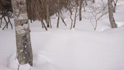 16442462842283 - コピー.jpg