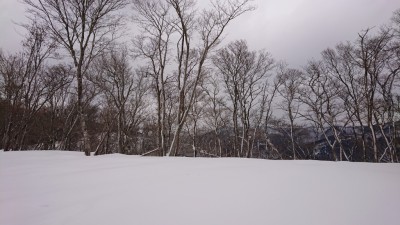 16442465655678 - コピー.jpg