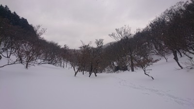 16442469373384 - コピー.jpg