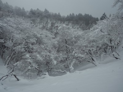 ニノ谷右俣源頭