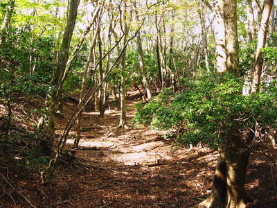 ● 好いコバが残されてた（＾＾）