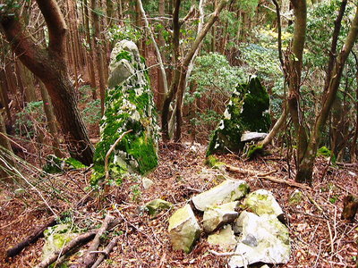 ● この石は門のように見えるでしょ