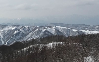 202202140001.JPG (96.89 KiB) 閲覧された回数 3103 回 南西方向