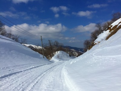 ベルク余呉スキー場の道