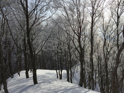 IMG_4793.jpg (832.74 KiB) 閲覧された回数 3102 回 霧氷