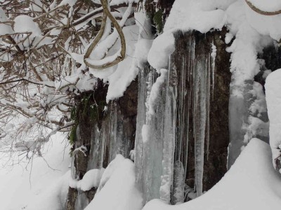 P2240006.jpg (76.99 KiB) 閲覧された回数 3066 回 氷柱