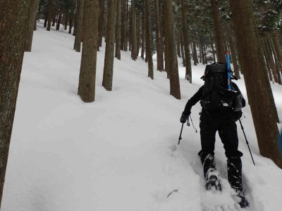 P2240008.jpg (52.54 KiB) 閲覧された回数 3066 回 尾根取り付き