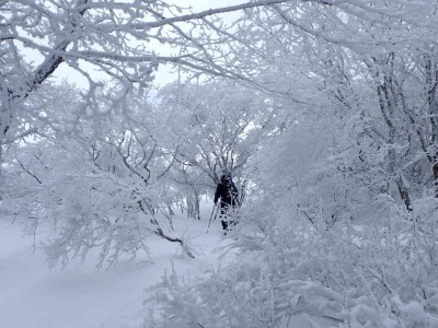 P2240012.jpg (83.86 KiB) 閲覧された回数 3065 回 鞍掛尾根に出た