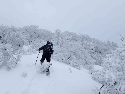 P2240018.jpg (50.83 KiB) 閲覧された回数 3066 回 鞍掛尾根