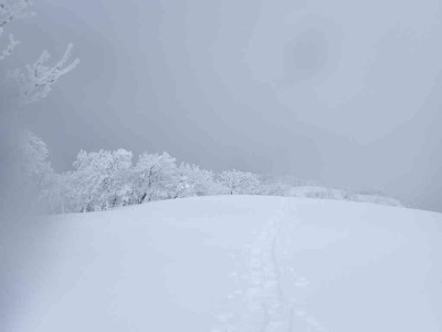 P2240023.jpg (27.09 KiB) 閲覧された回数 3058 回 鞍掛尾根