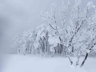 P2240025.jpg (60.68 KiB) 閲覧された回数 3058 回 鞍掛尾根