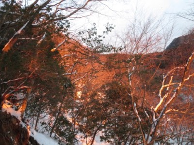 BD1DA1DD-6FF7-4794-A8CE-8DCF89000F77.jpeg (101.47 KiB) 閲覧された回数 2591 回 モルゲン