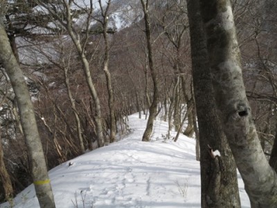 C53376C6-322A-4357-A63D-4D7CC20744B1.jpeg (84.63 KiB) 閲覧された回数 2604 回 快適な尾根歩き