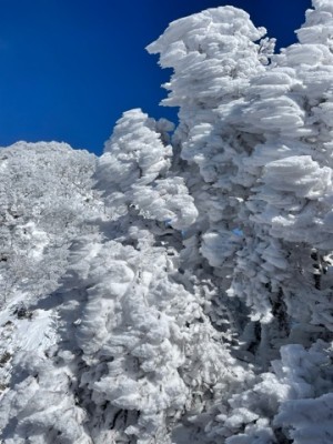 9C21DDA3-4F8C-4D1A-87A0-2CDA8A7D337B.jpeg (82.44 KiB) 閲覧された回数 2594 回 スノーモンスター