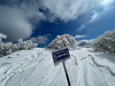 7F1CF803-0A2D-44E4-9FA3-4ED6F5218BC5.jpeg (60.88 KiB) 閲覧された回数 2591 回 最高点