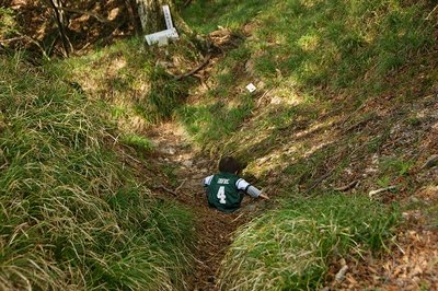 よいしりセードを！