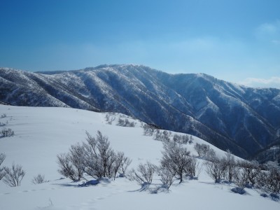 上谷山へ.JPG (220.26 KiB) 閲覧された回数 3242 回 上谷山