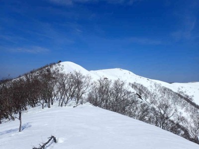 P3040021.jpg (62.3 KiB) 閲覧された回数 2738 回 南尾根上部から見る南雨乞岳と雨乞岳