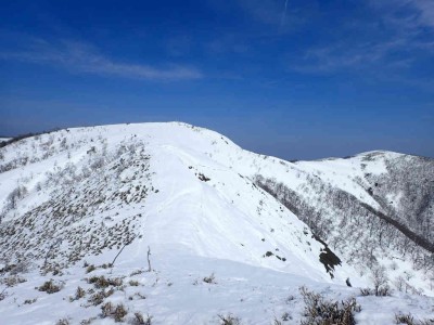 P3040029.jpg (66.03 KiB) 閲覧された回数 2738 回 南雨乞岳から見る雨乞岳