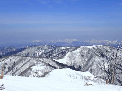 P3040039.jpg (61.62 KiB) 閲覧された回数 2738 回 イブネと鈴鹿北部の山々
