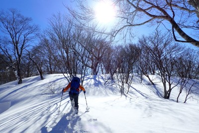後光が差してました(^^♪