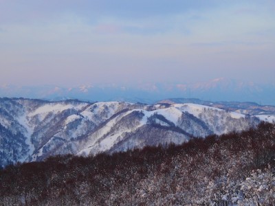 音波山の手前より