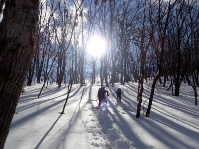 P1220350.JPG (453.33 KiB) 閲覧された回数 5652 回 黄金の足ならぬ翡翠の足