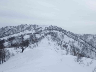 P3090042.jpg (48.1 KiB) 閲覧された回数 2254 回 国境稜線からみる上谷山