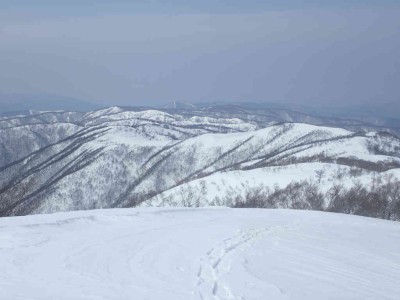 P3090057.jpg (45.77 KiB) 閲覧された回数 2253 回 国境稜線